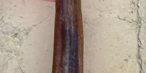 Red Cornetfish