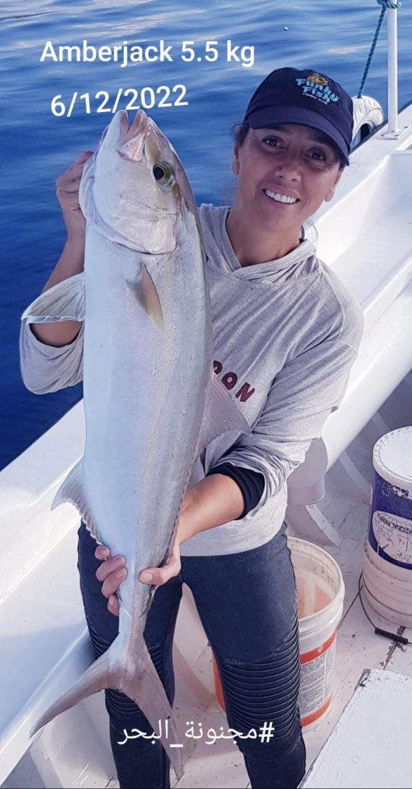 Greater Amberjack