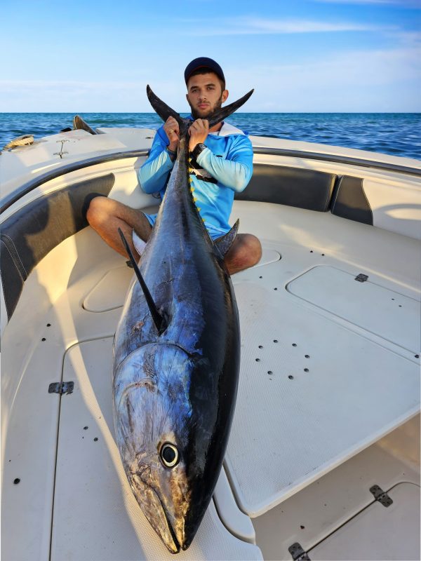 bluefin Tuna