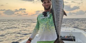 Kingfish / Narrow-barred Spanish Mackerel