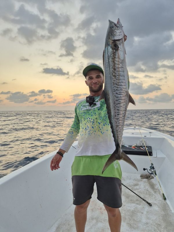 Kingfish / Narrow-barred Spanish Mackerel