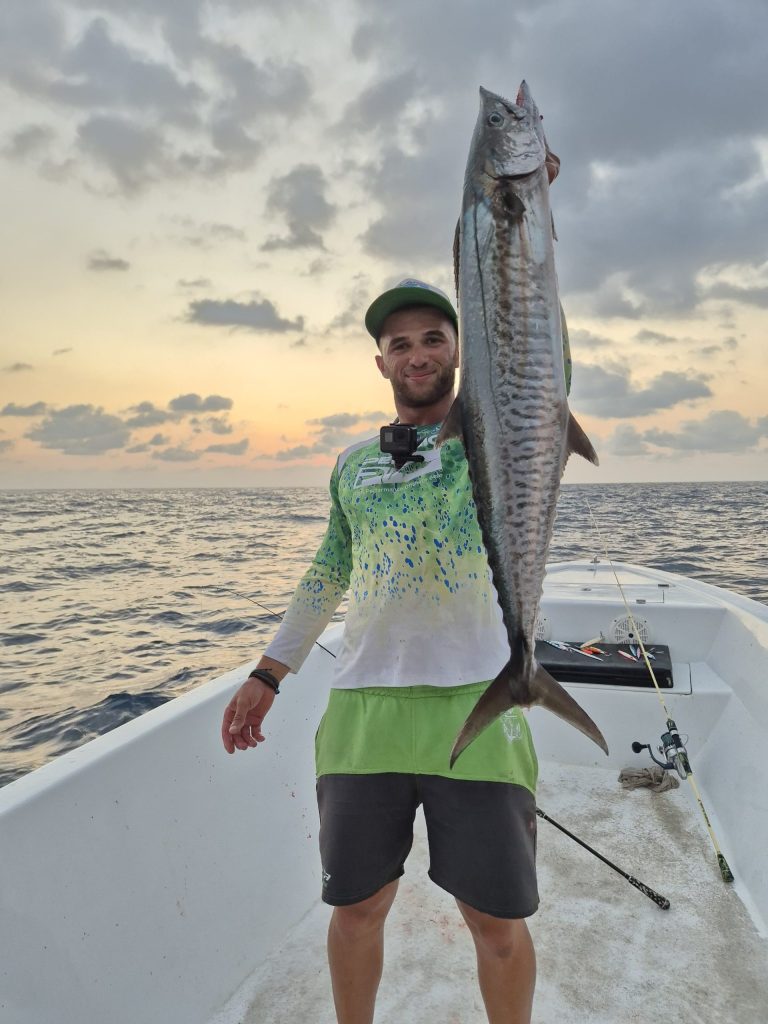 Kingfish / Narrow-barred Spanish Mackerel