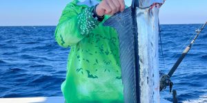 Striped Marlin