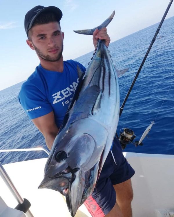 Skipjack Tuna