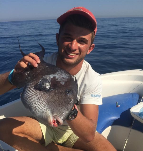 Trigger Fish
