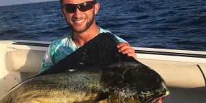 Mahi Mahi